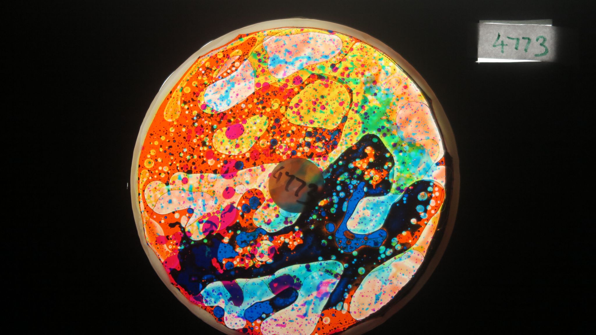 BV4773 bubble vision oil wheel